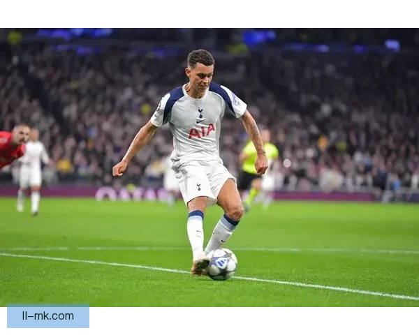 热刺重金引进范德芬重塑后防速度与硬度英超争四格局或生变再起波